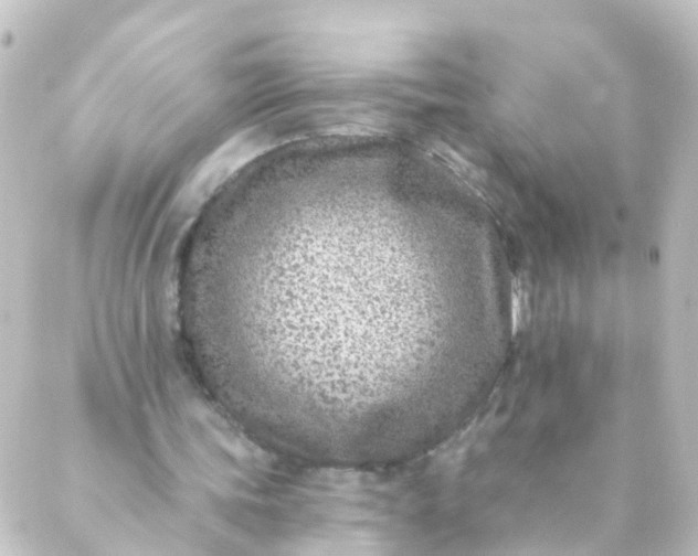 X0000088890339200706221845