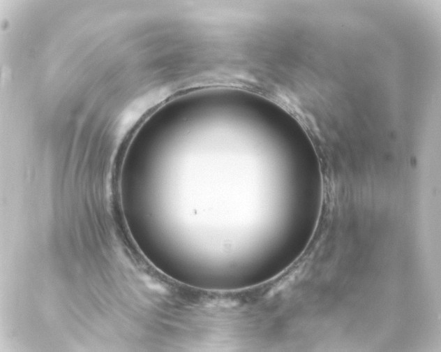 X0000088890340200706221845