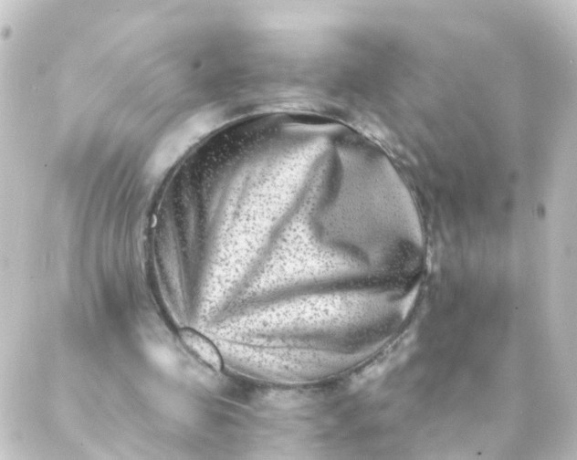 X0000088890341200706221845