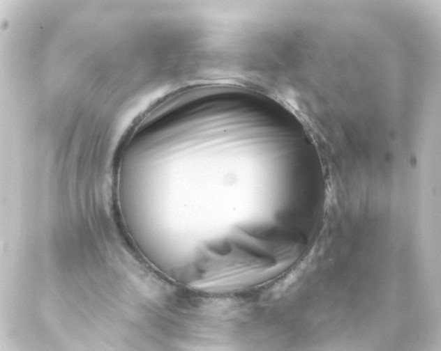 X0000088890342200706221845