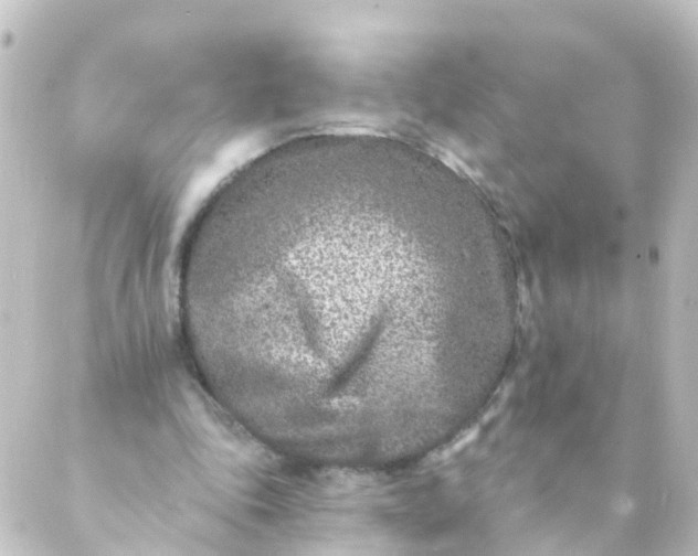 X0000088890343200706221845