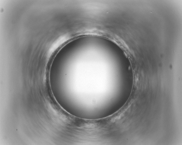 X0000088890344200706221845