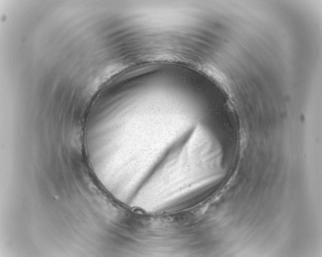 X0000088890345200706221845