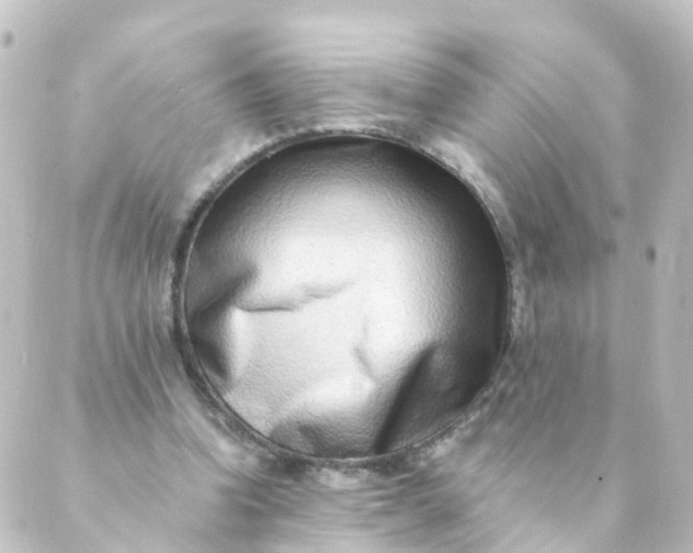 X0000088890346200706221845