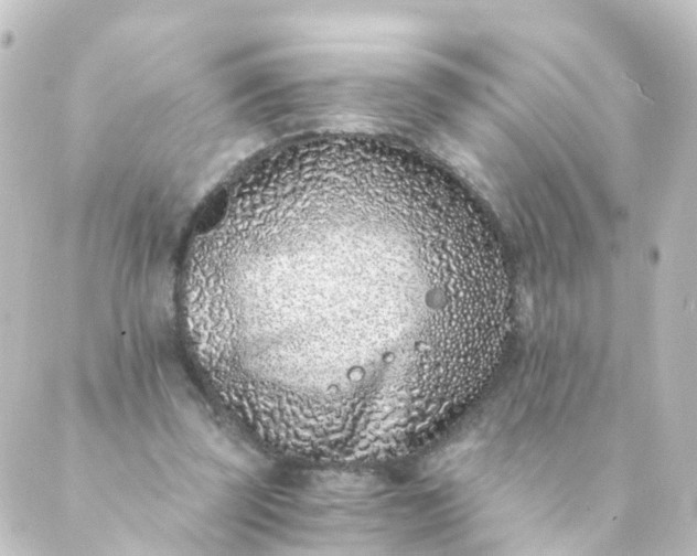 X0000088890347200706221845