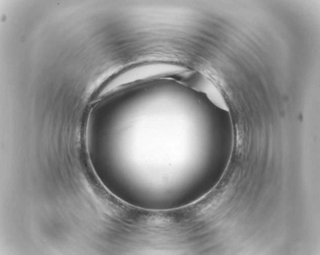 X0000088890348200706221845