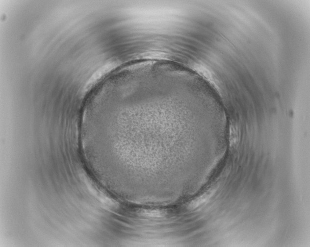 X0000088890349200706221845