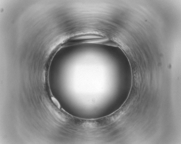 X0000088890350200706221845