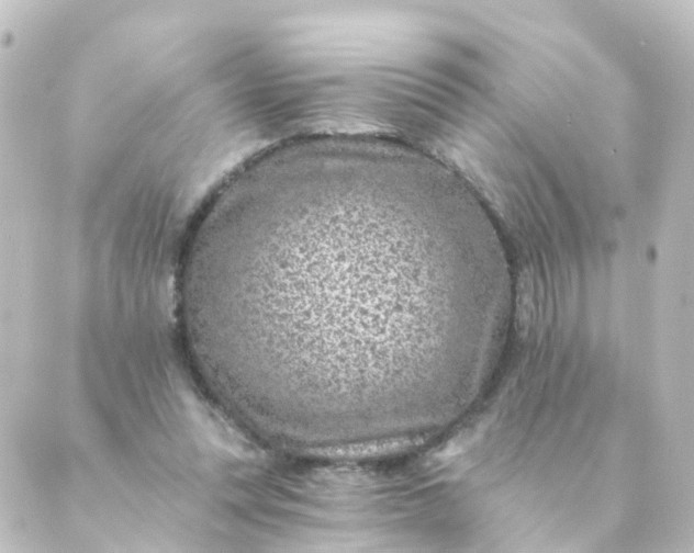 X0000088890351200706221845