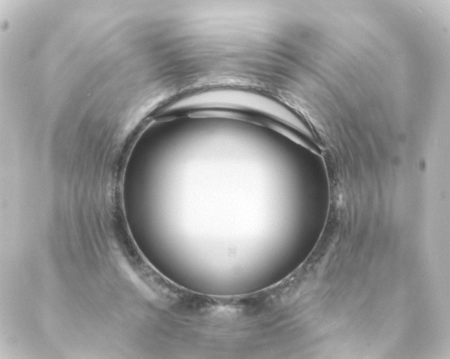 X0000088890352200706221845