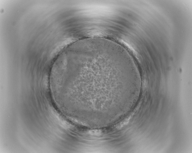 X0000088890353200706221845