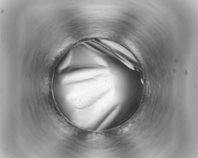 X0000088890354200706221845