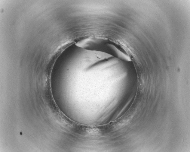 X0000088890355200706221845