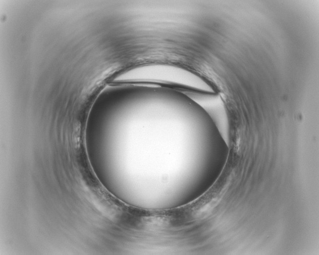 X0000088890356200706221845