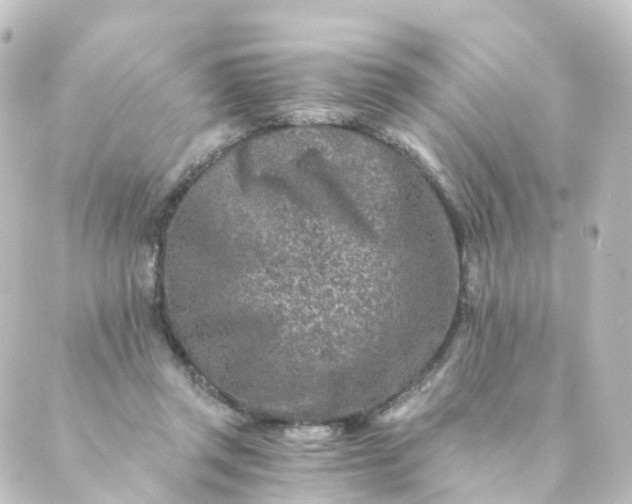 X0000088890357200706221845