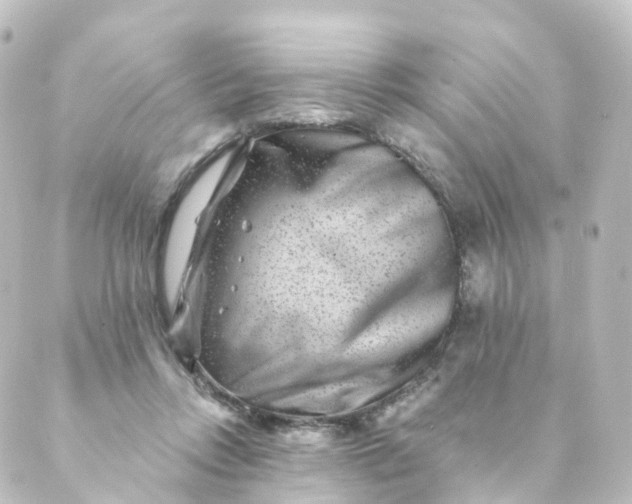 X0000088890358200706221845