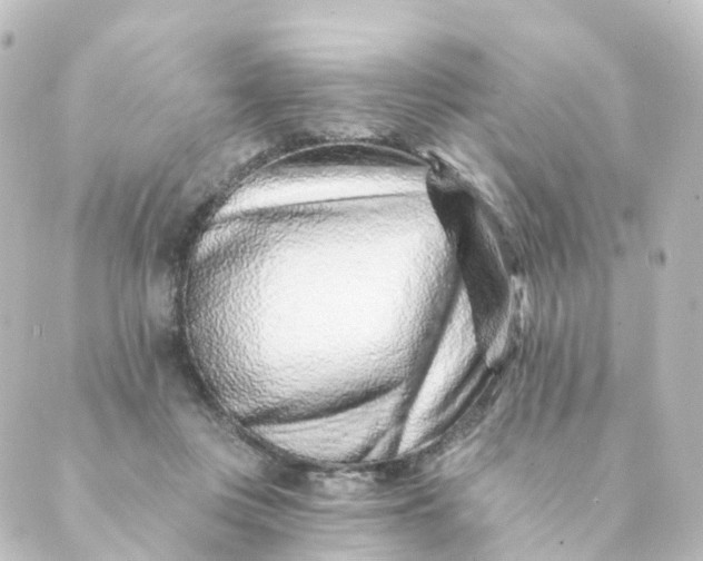 X0000088890359200706221845