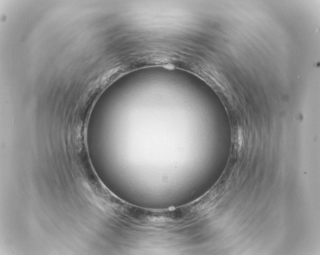 X0000088890360200706221845