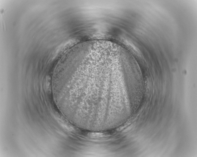 X0000088890361200706221845