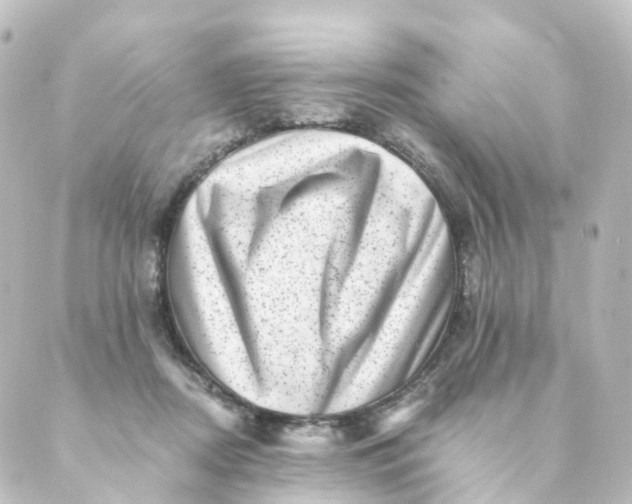 X0000088890362200706221845