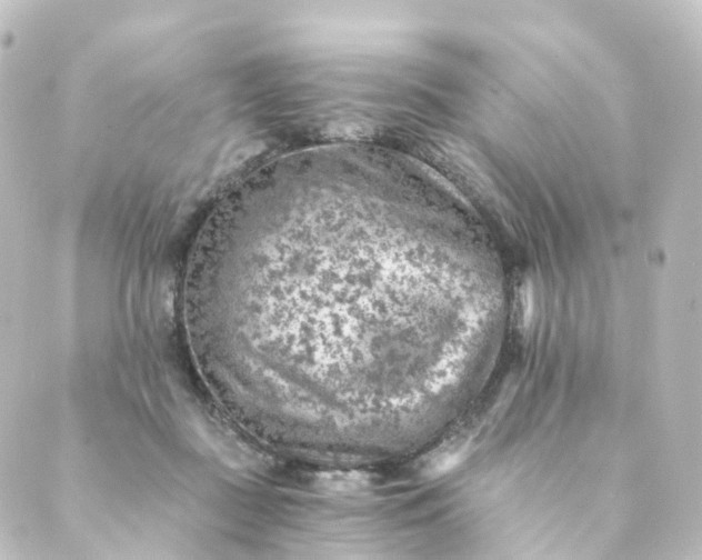 X0000088890363200706221845