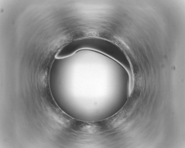 X0000088890364200706221846