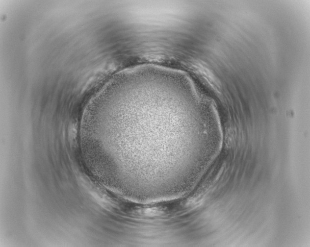 X0000088890365200706221846