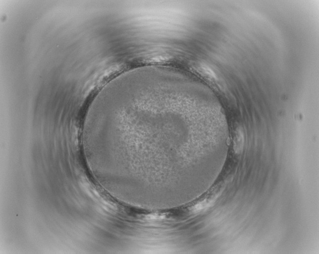 X0000088890366200706221846