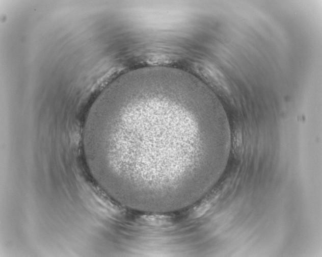 X0000088890367200706221846