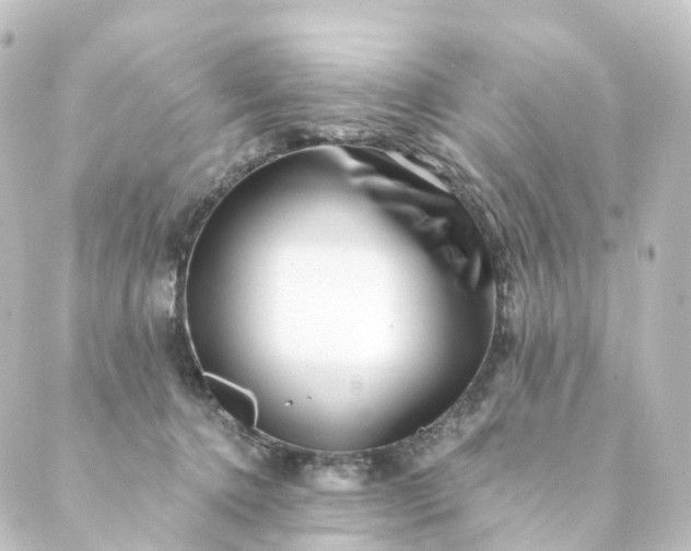 X0000088890368200706221846