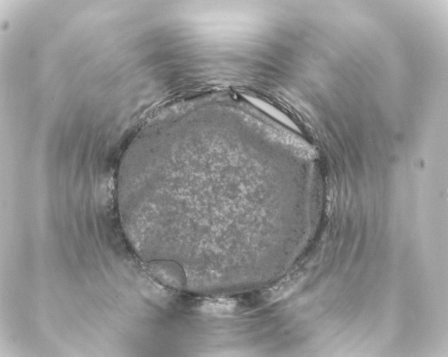 X0000088890369200706221846