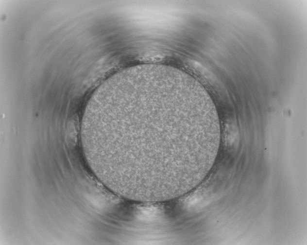 X0000088890370200706221846