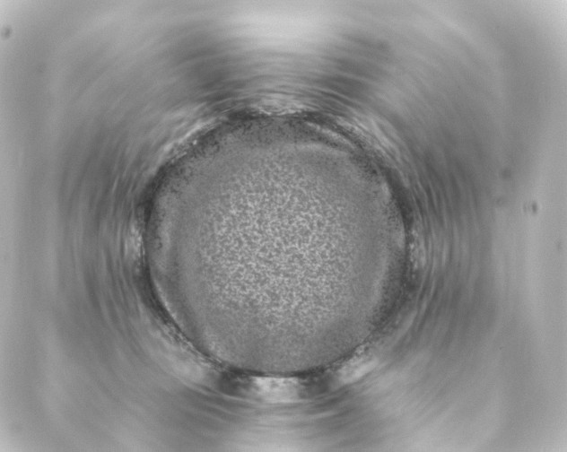 X0000088890371200706221846