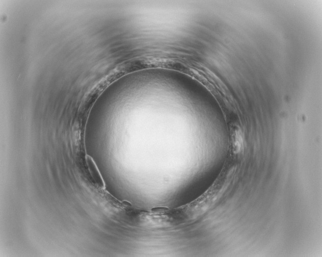 X0000088890372200706221846