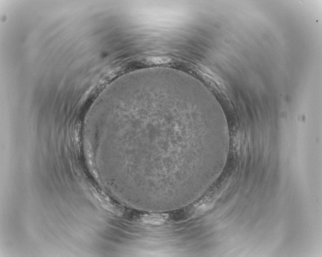 X0000088890373200706221846