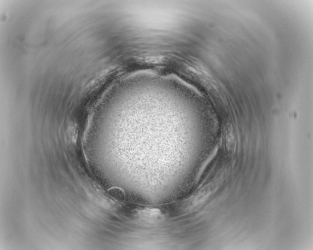 X0000088890374200706221846