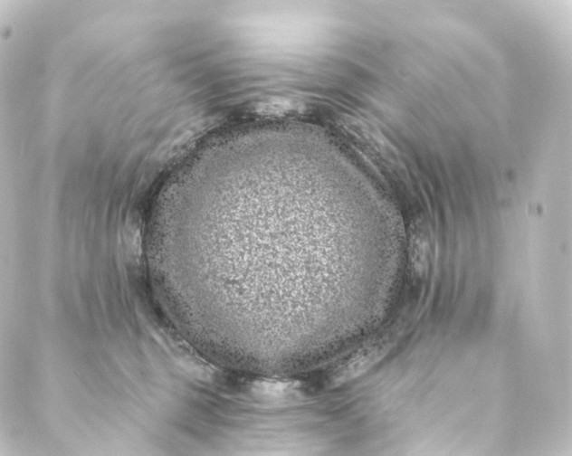 X0000088890375200706221846