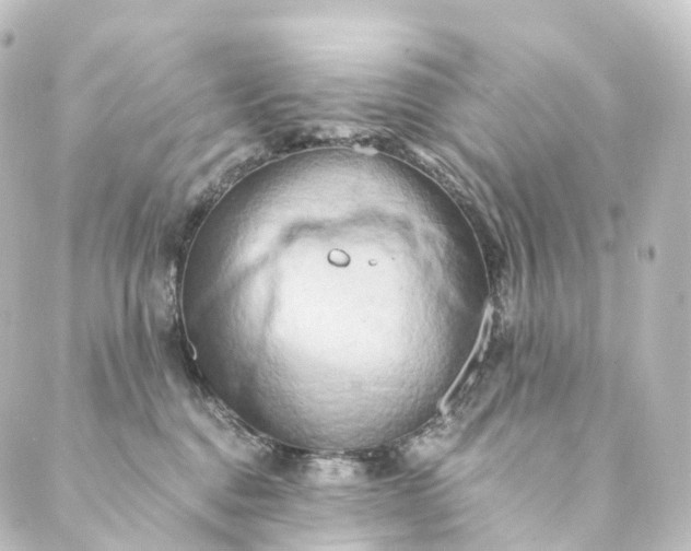 X0000088890376200706221846