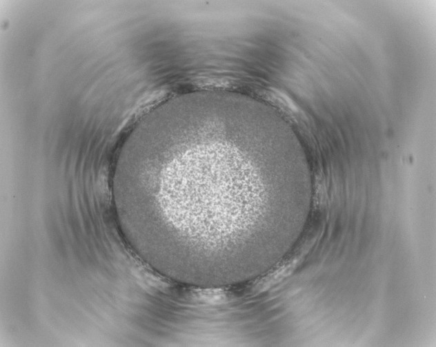 X0000088890377200706221846