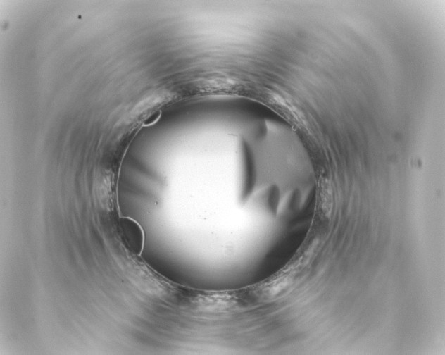 X0000088890378200706221846