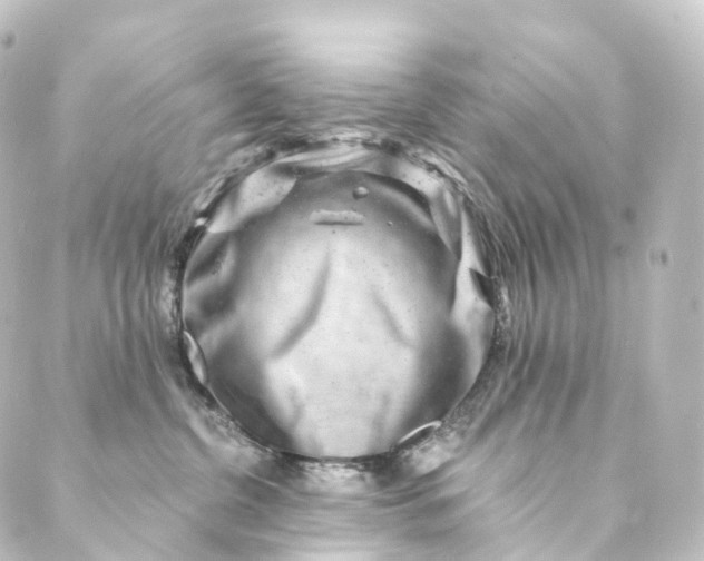 X0000088890380200706221846