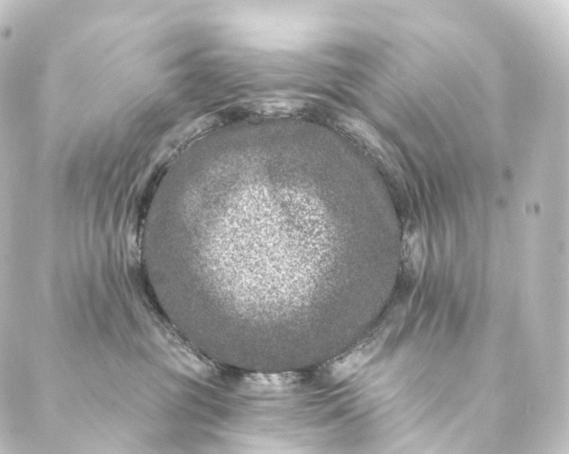 X0000088890381200706221846