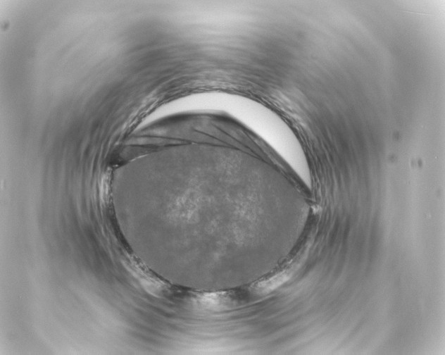 X0000088890382200706221846