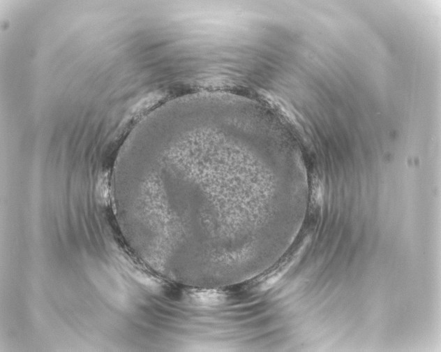 X0000088890383200706221846