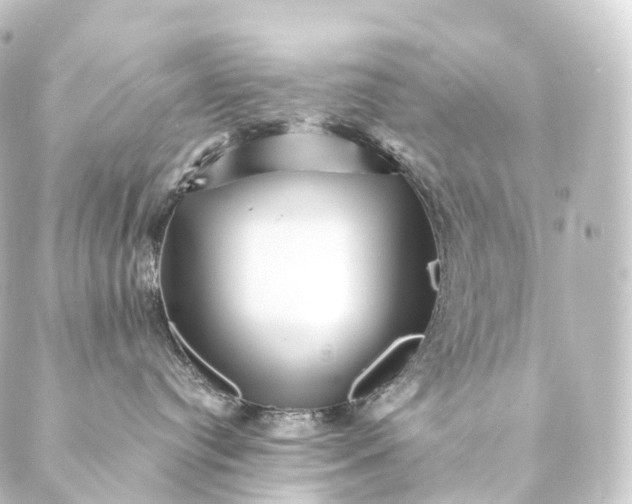 X0000088890384200706221846