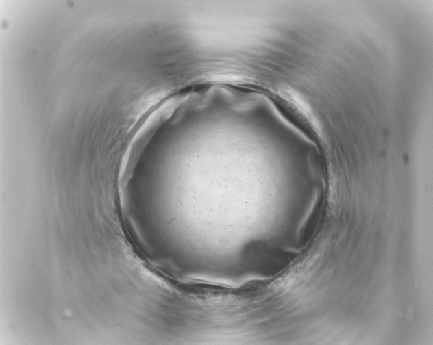 X0000088890385200706221845