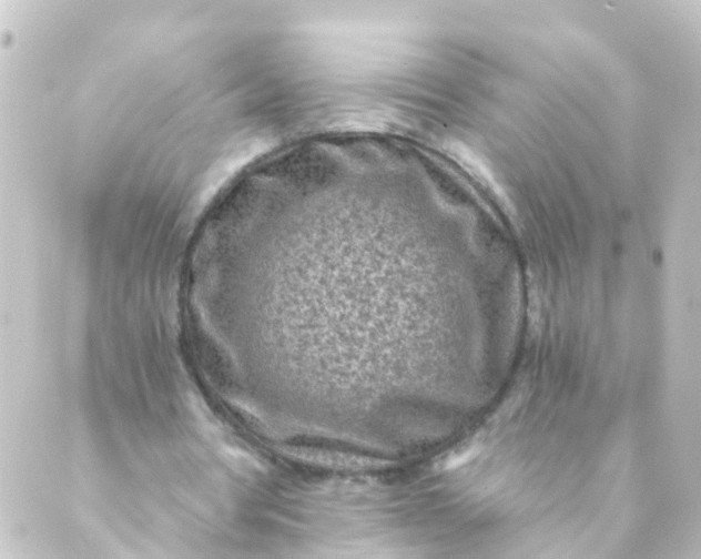 X0000088890386200706221845