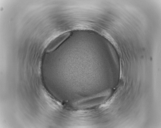 X0000088890387200706221845