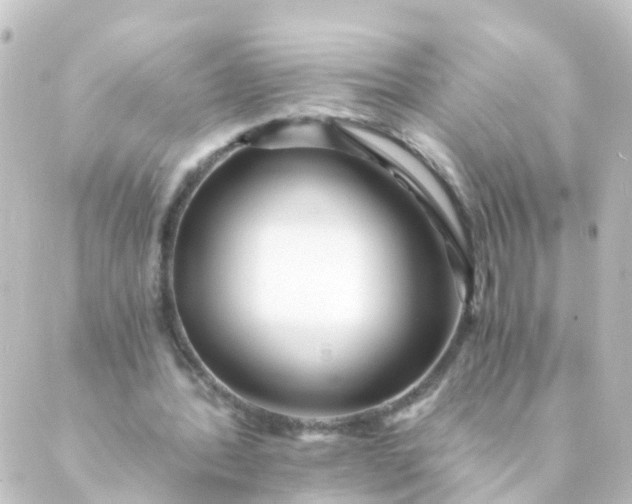 X0000088890388200706221845