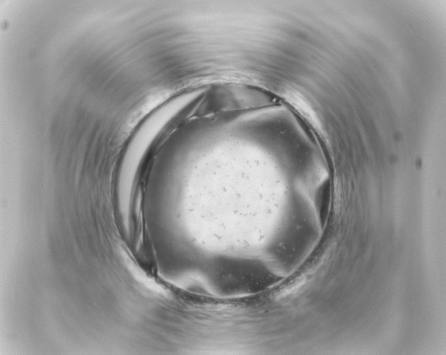 X0000088890389200706221845